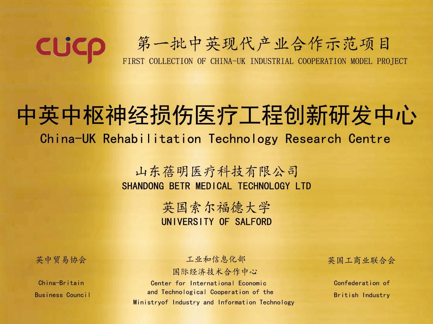 中英中枢神经损伤医疗工程创新研发中心