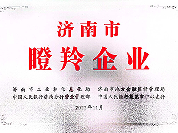 济南市瞪羚企业